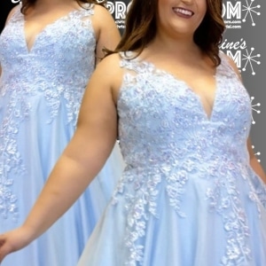 Prom Dress 1031