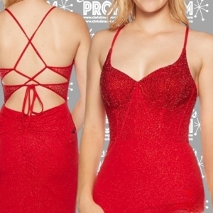 Prom Dress 986
