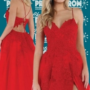 Prom Dress 1006