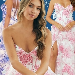 Prom Dress 1038