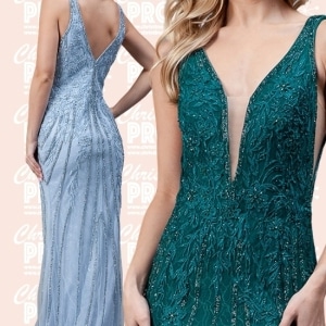 Prom Dress 1013