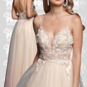 Prom Dress 904