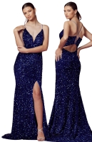 Prom Dress 712