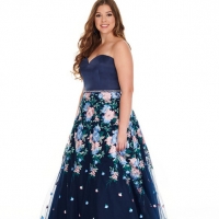 Plus Size Prom Dress 691