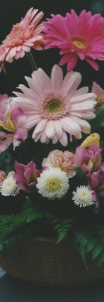 centerpiece3.blossoms&balloons