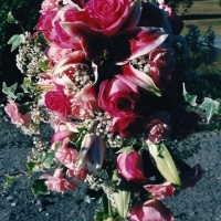 Stargazer Lily Wedding Bouquet