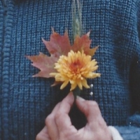 Fall Boutonniere For The Groom