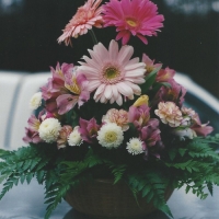 centerpiece3.blossoms&balloons