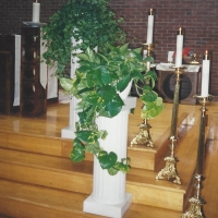 plant.centerpiece.blossoms&balloons