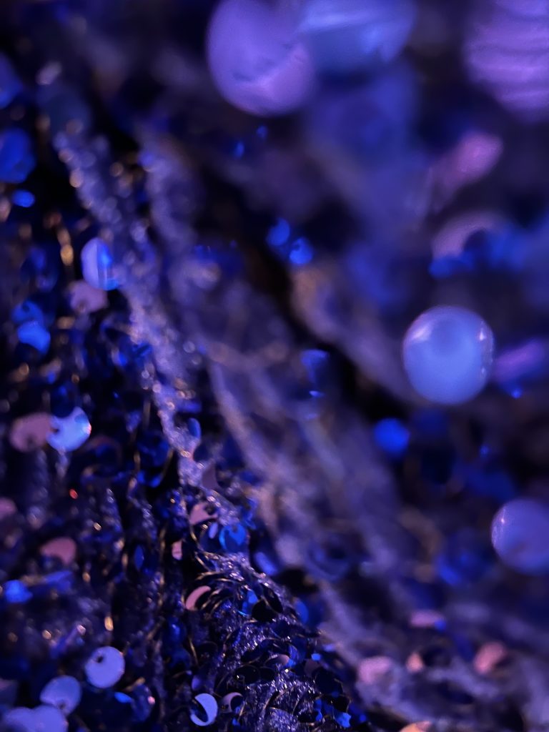 Blue Sequin Close Up